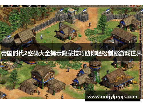 帝国时代2密码大全揭示隐藏技巧助你轻松制霸游戏世界
