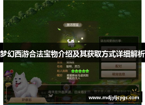梦幻西游合法宝物介绍及其获取方式详细解析