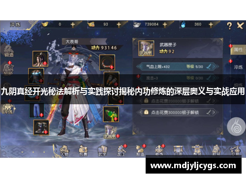 九阴真经开光秘法解析与实践探讨揭秘内功修炼的深层奥义与实战应用