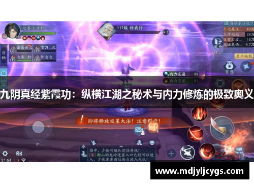 九阴真经紫霞功：纵横江湖之秘术与内力修炼的极致奥义